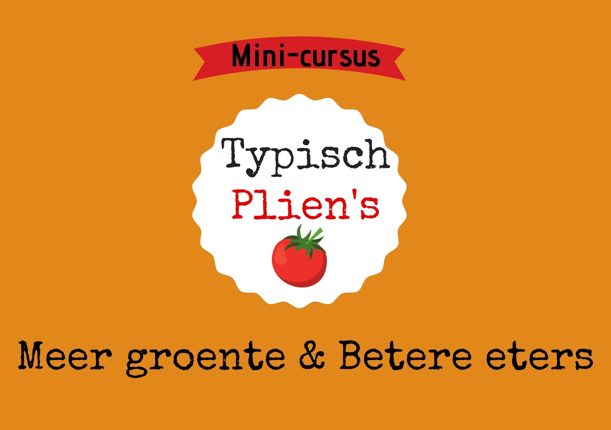 Mini cursus Typisch Plien's academie plaatje oranje